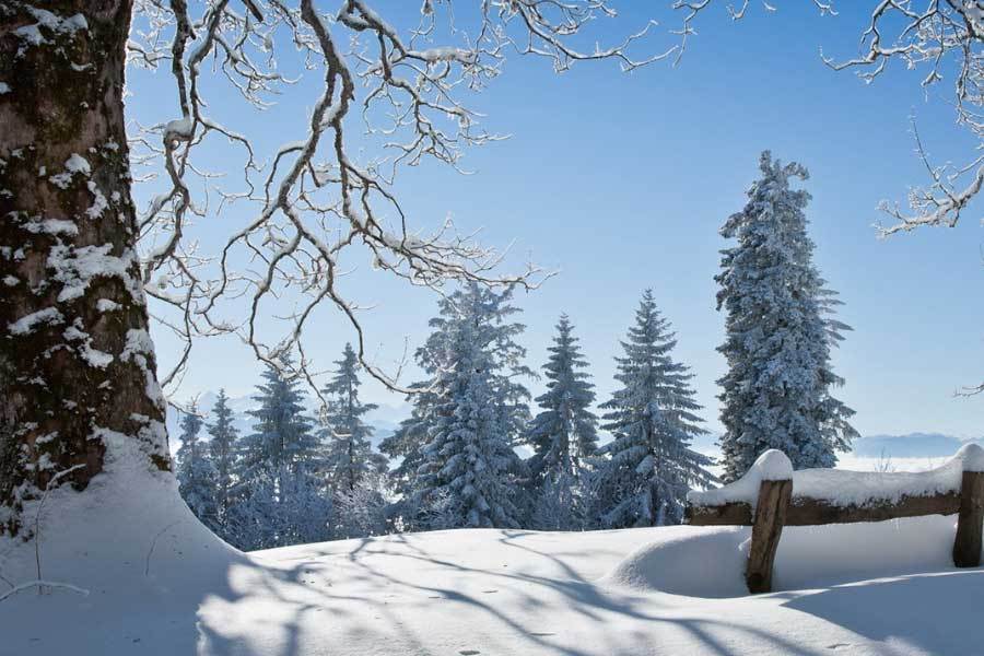 旨在通过电, 量电竞爱好 旨在通过电, 量电竞爱好