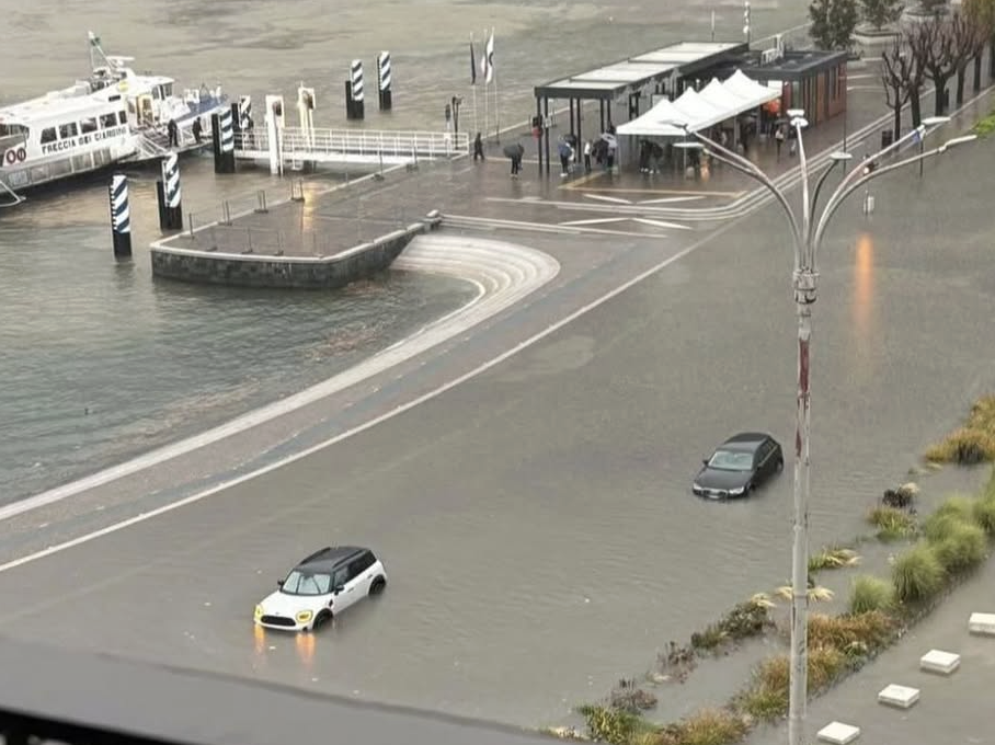 法布雷加斯, kDMAA 法布雷加斯, kDMAA